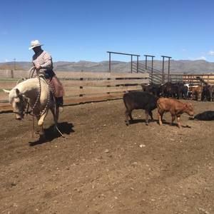 Meet your Posher, Brad